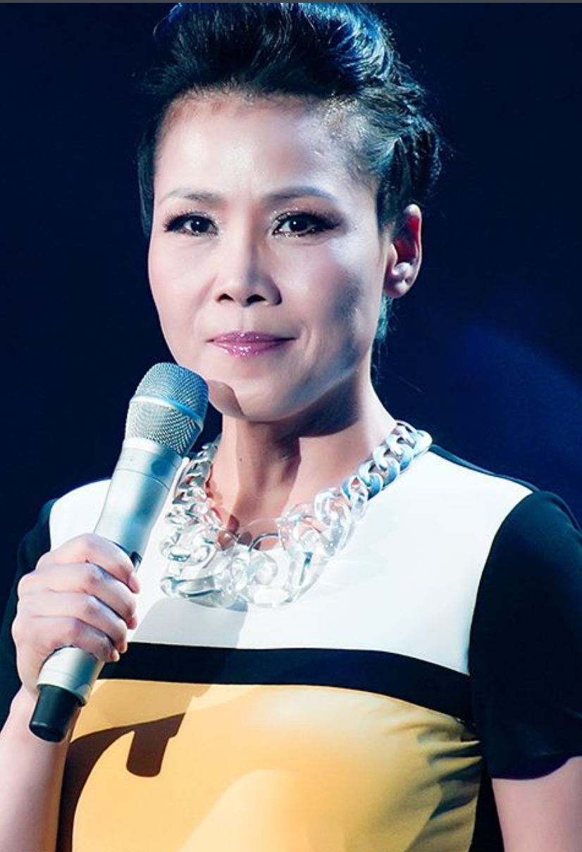 田震档期咨询,出席活动及广告代言业务洽谈