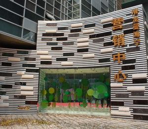 凤凰卫视周瑛琦“筑梦天下”栏目组走进曼海宁现场